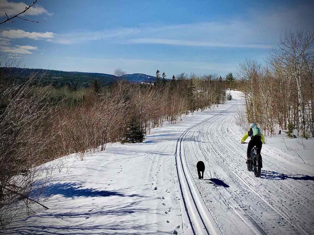 A fat biker and dog ride a groomed snowy trail